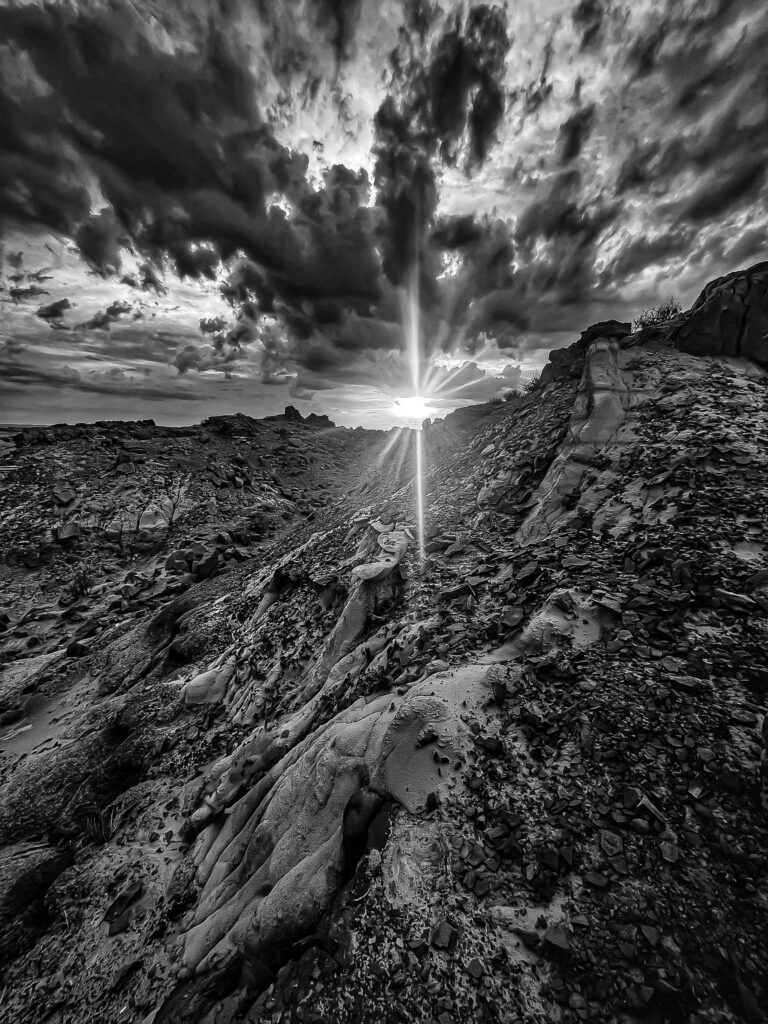 © Shelley Vandegrift