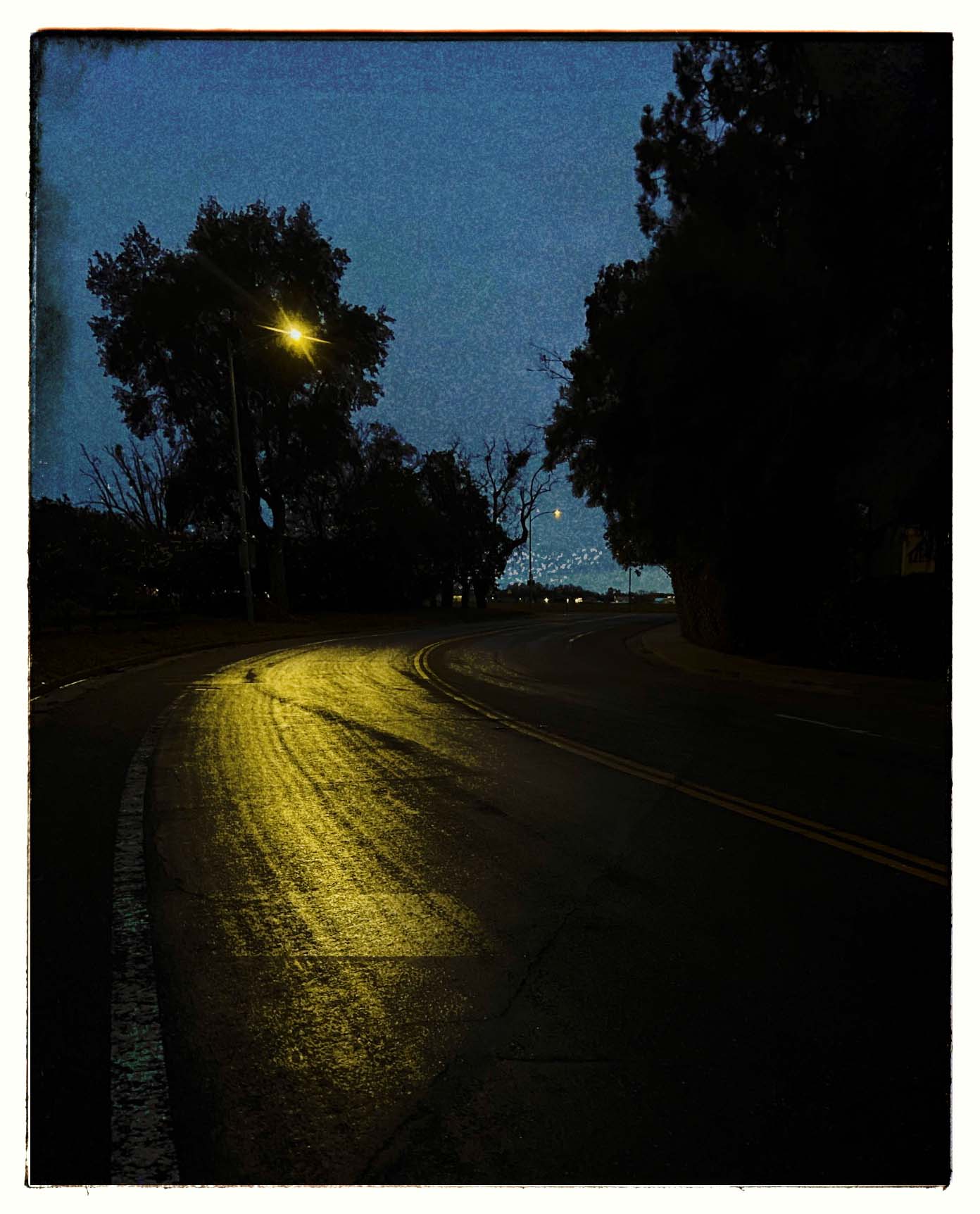 © Christine Alexander