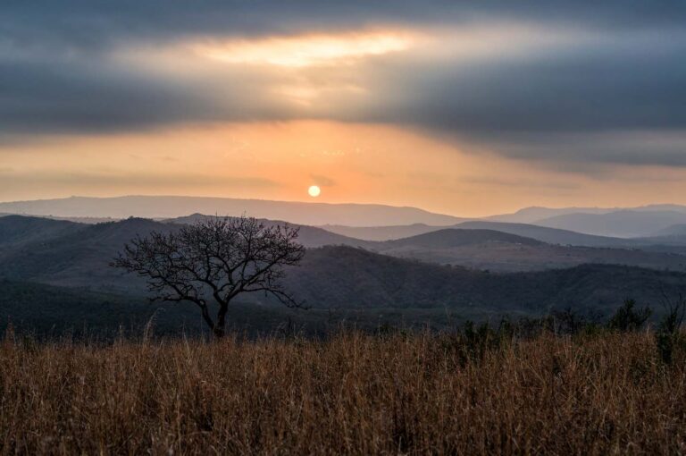 Hluhluwe iMfolozi Park