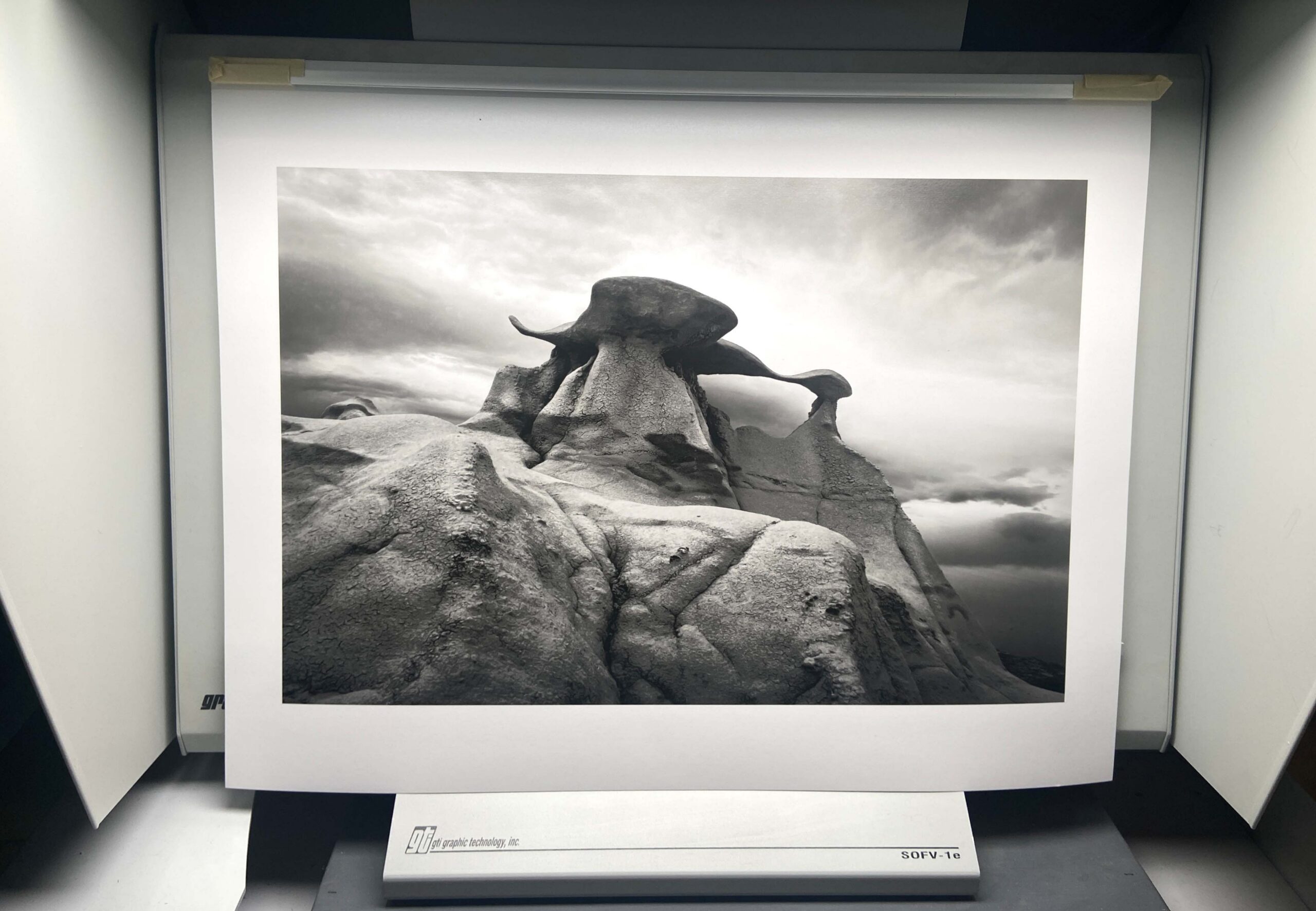 © Christine Alexander