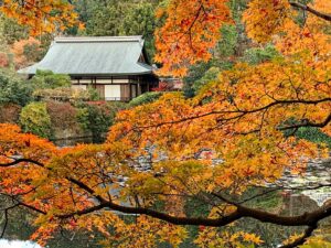 Autumn in Kyoto: Japan’s Most Cultured City