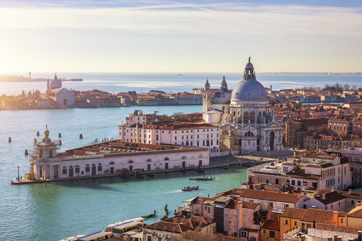 © daliu/Adobe Stock