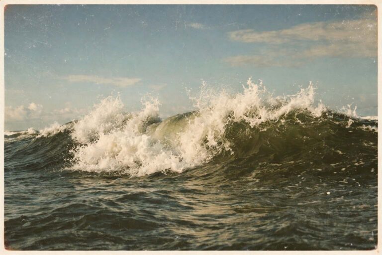 6 - ©Tom Gaukel
