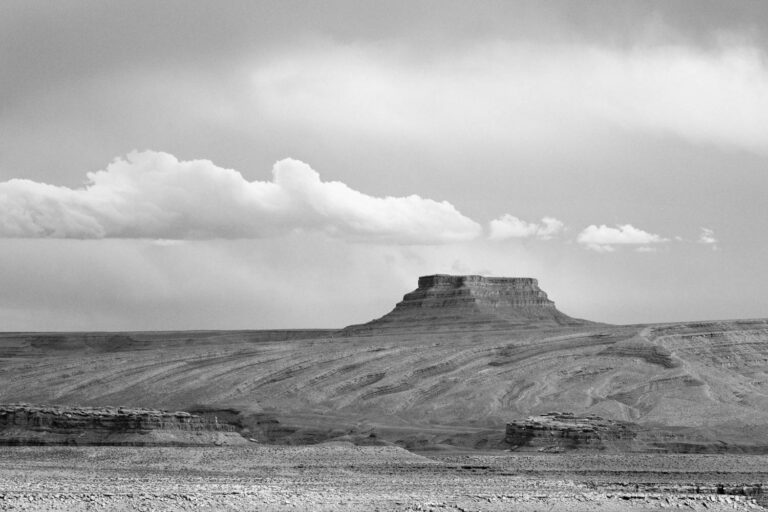 © Carlan Tapp