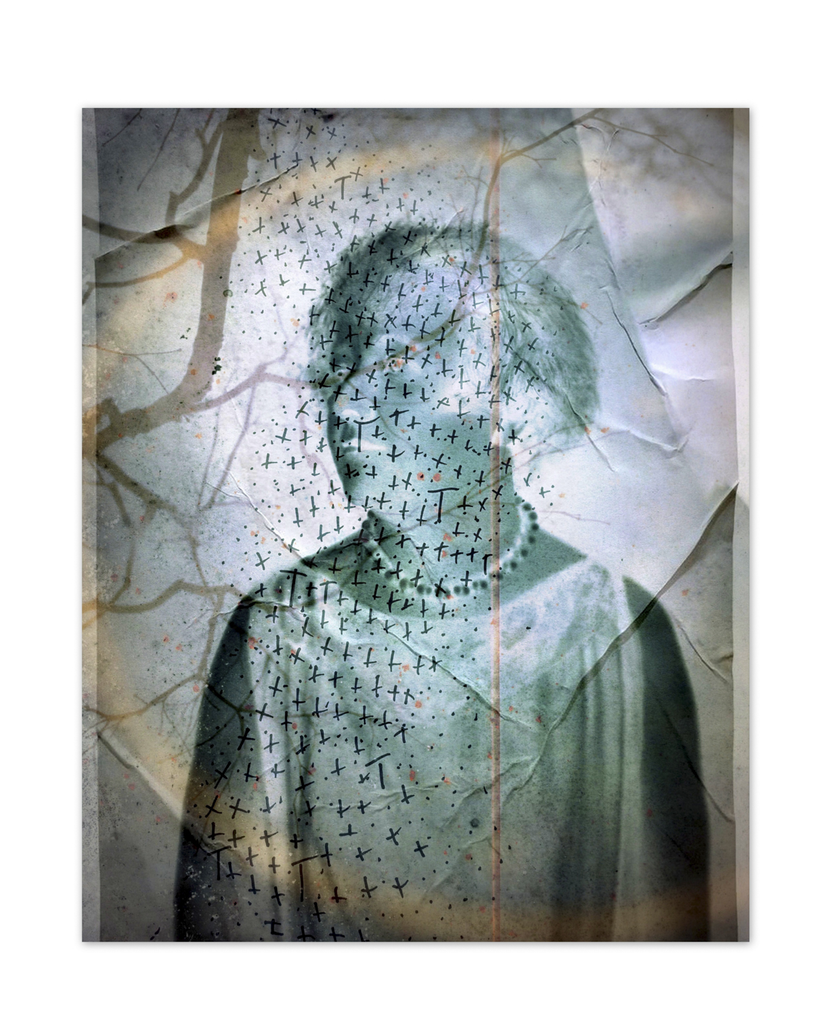 © Linda Plaisted