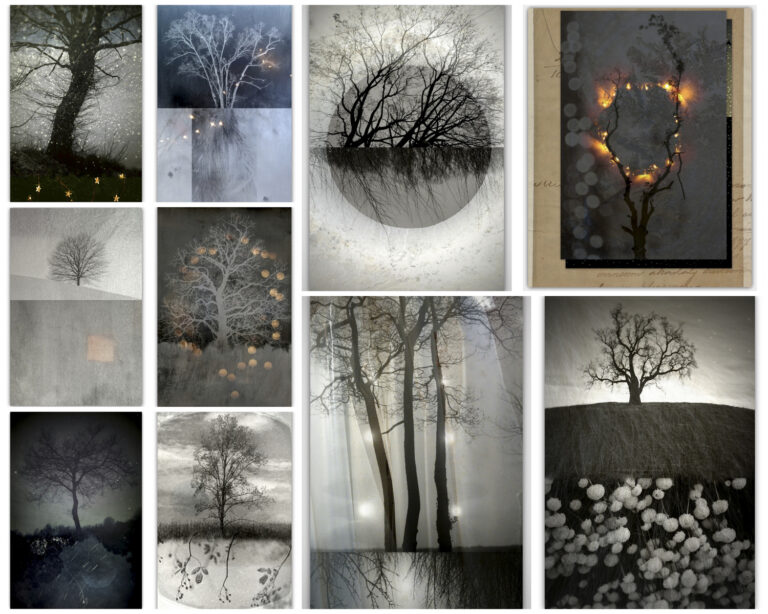 © Linda Plaisted