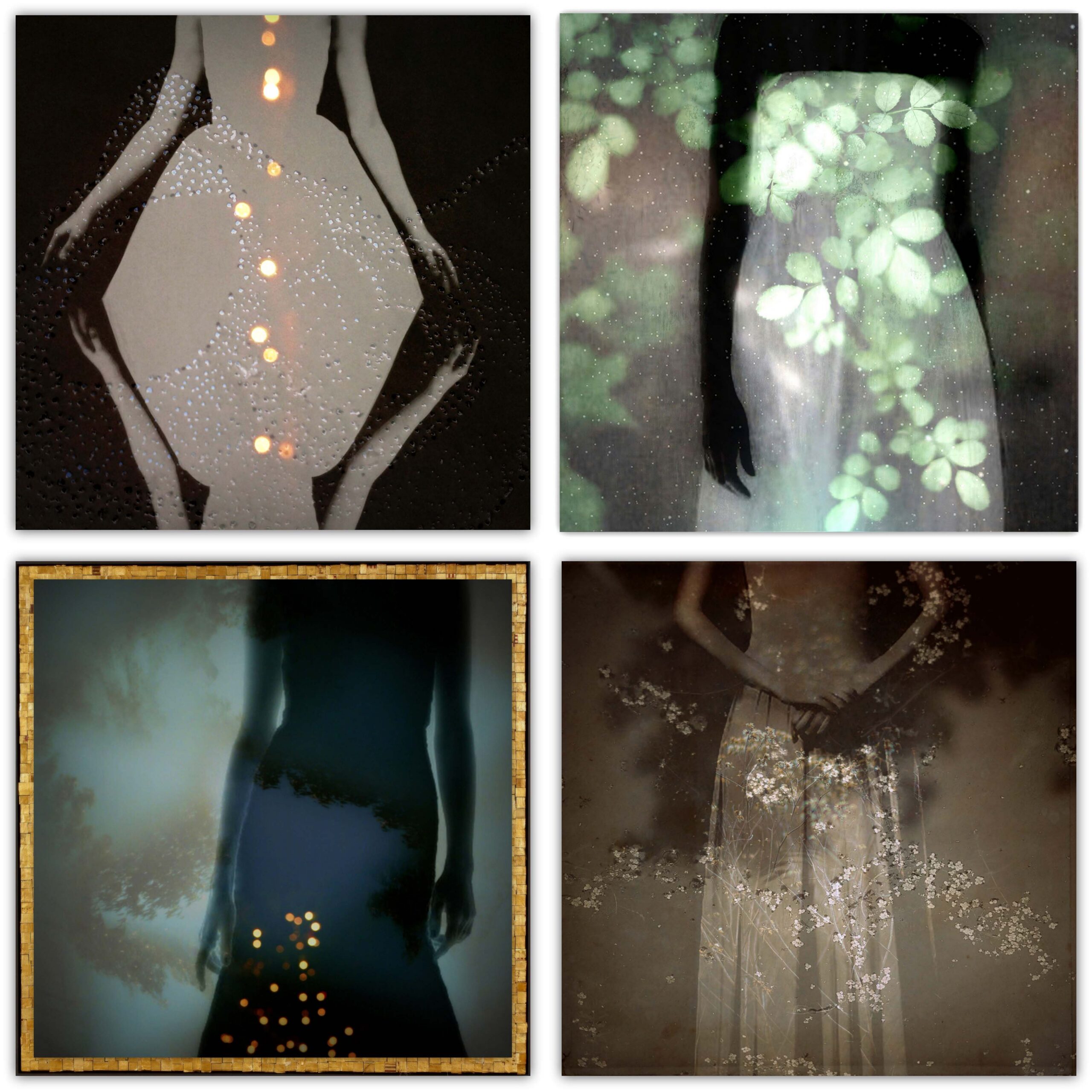 © Linda Plaisted
