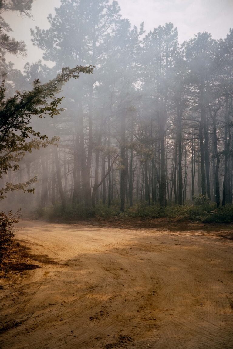 © Drew Leventhal