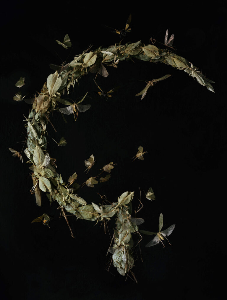© Tara Sellios