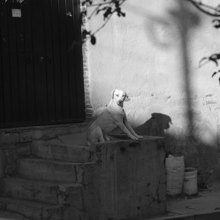 © Tsar Fedorsky
