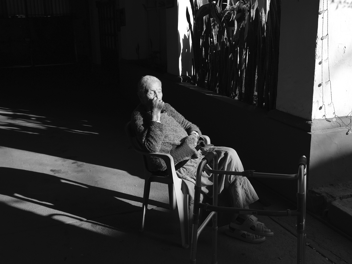 © Tsar Fedorsky