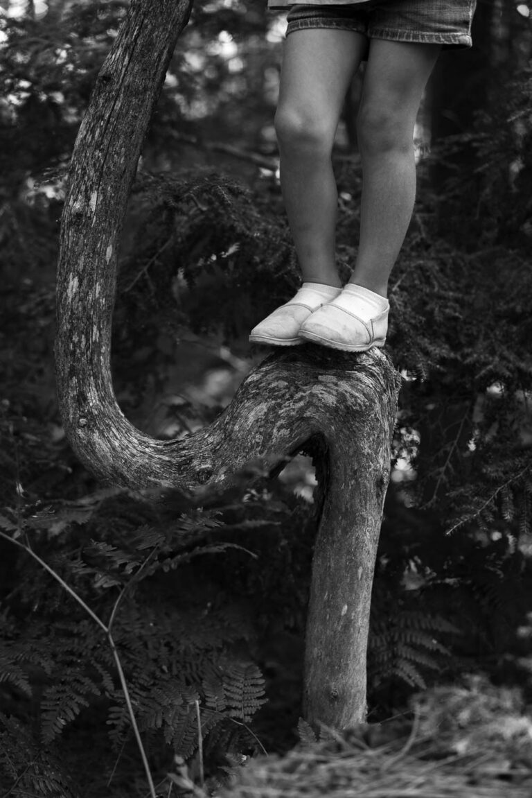 © Will Van Beckum