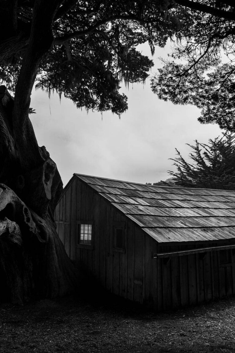 © Will Van Beckum