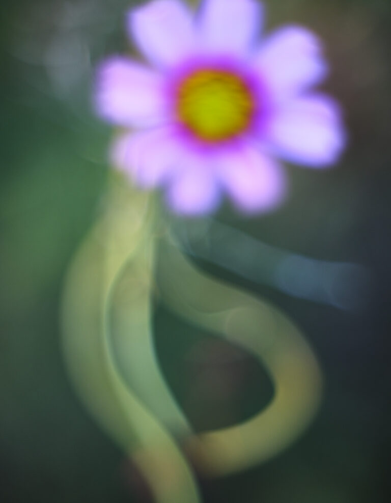 © John Derryberry