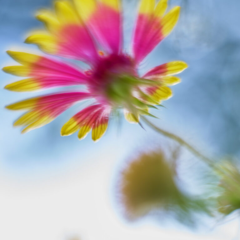 © John Derryberry