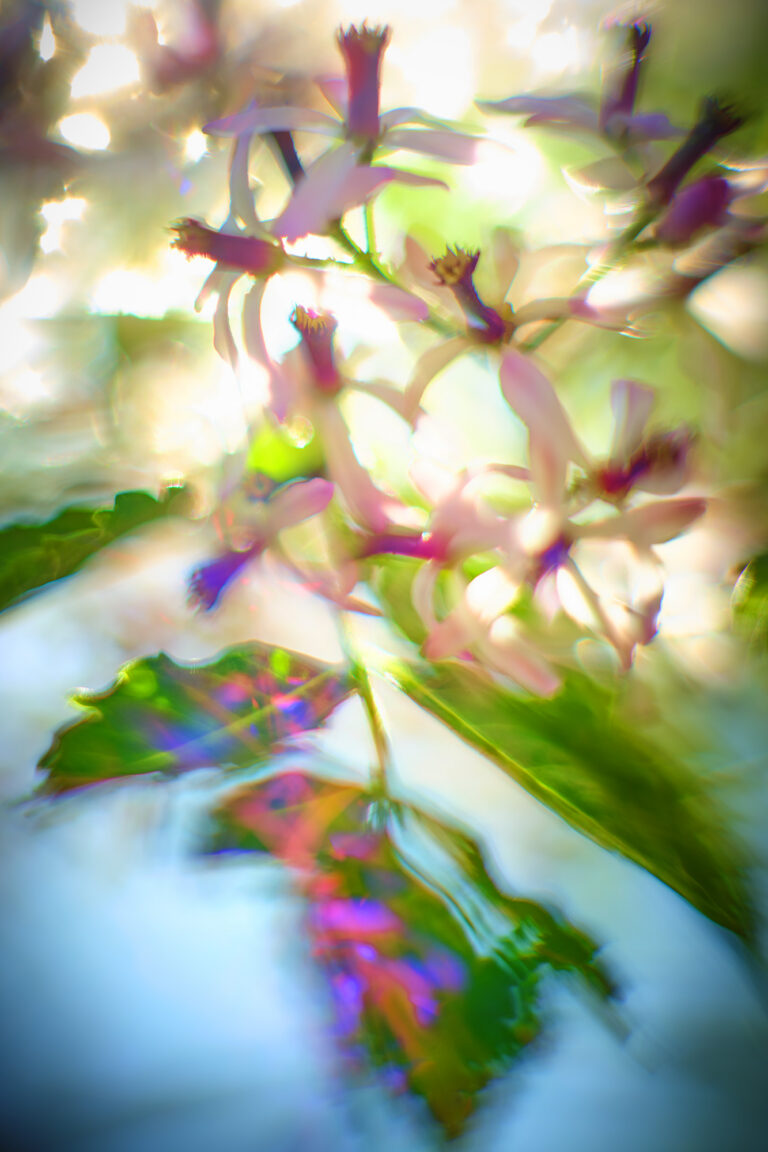 © John Derryberry