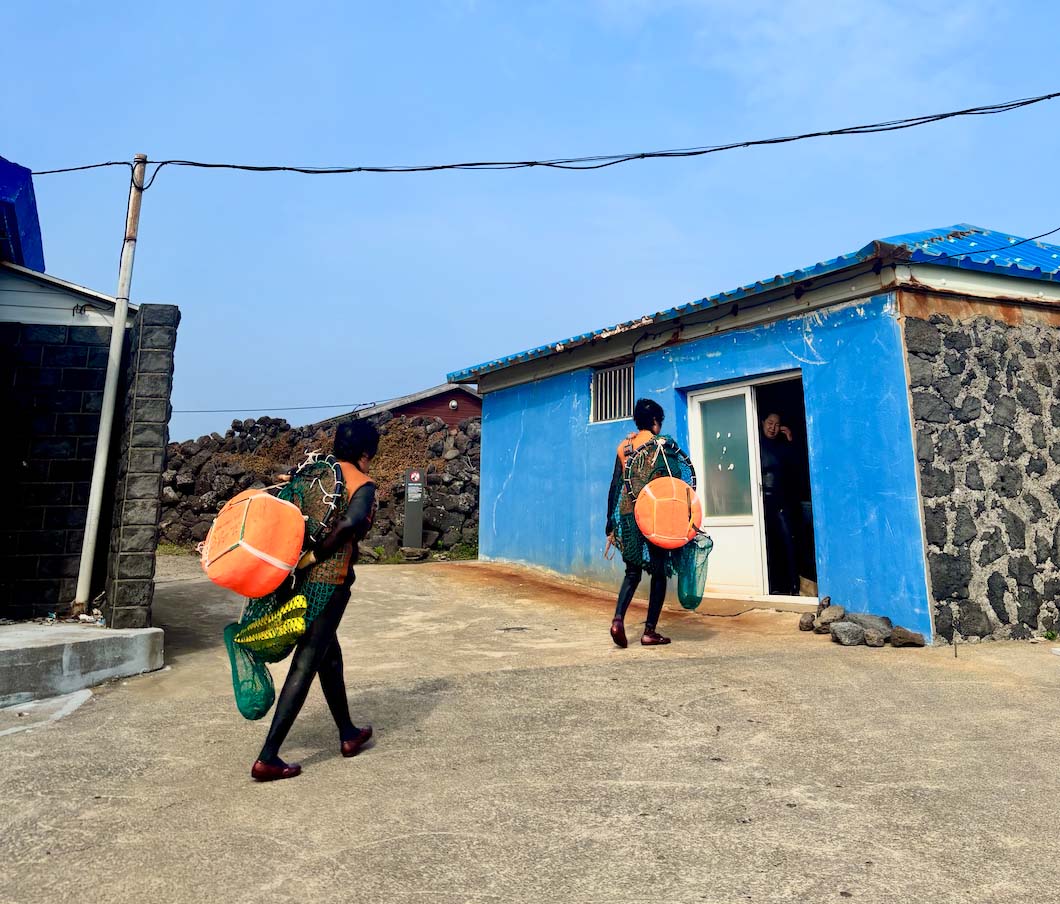 Jeju Island, South Korea © Olivia Harlow