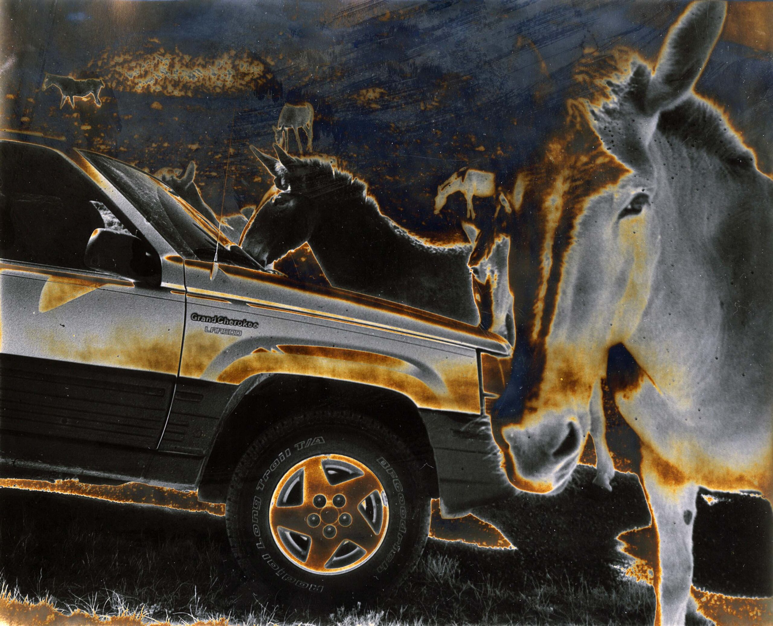 Alternative Process Photography Then and Now