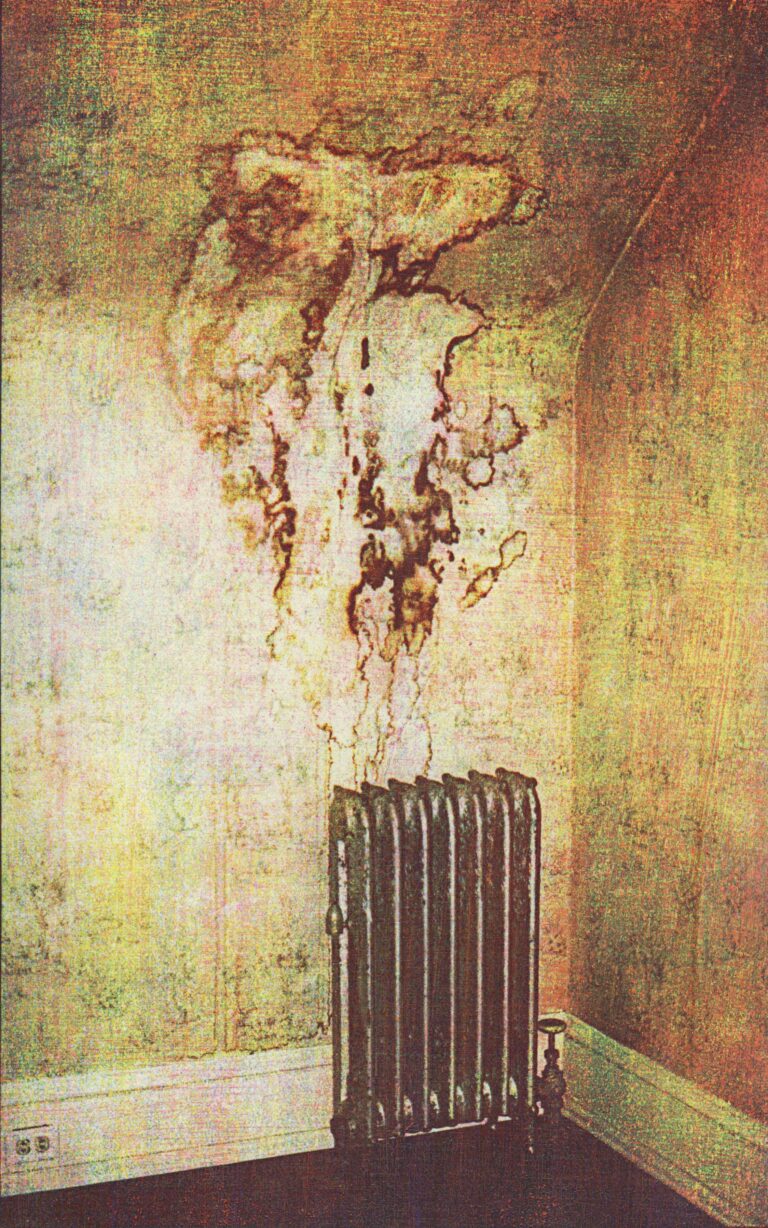 © Christina Z. Anderson
