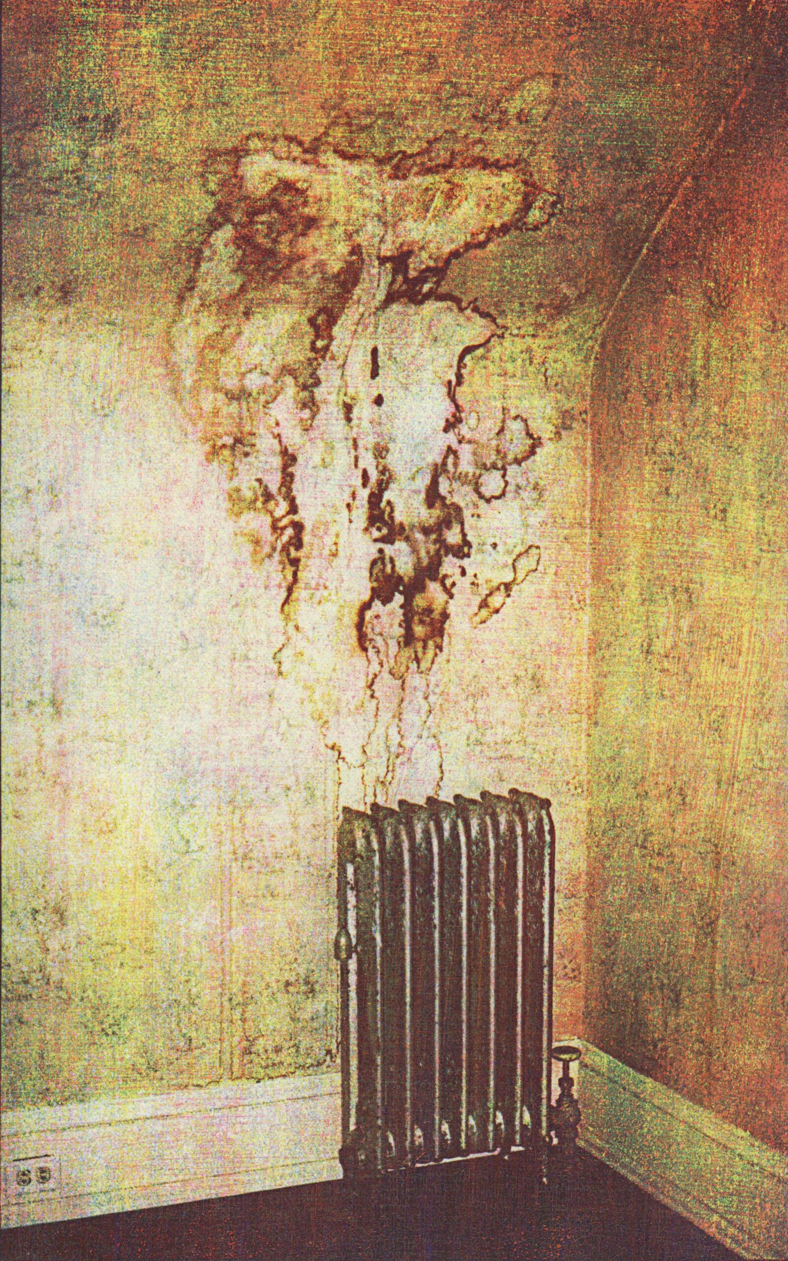 © Christina Z. Anderson