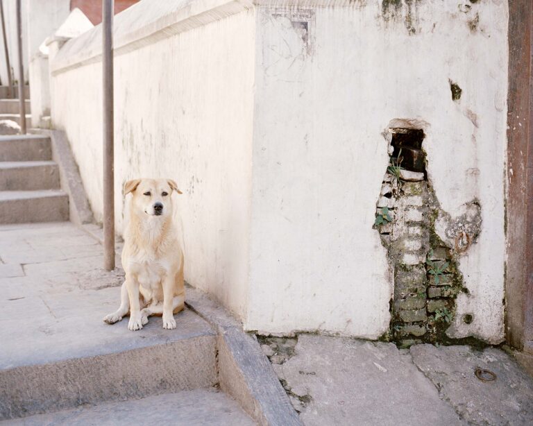 © Eliza McKenna