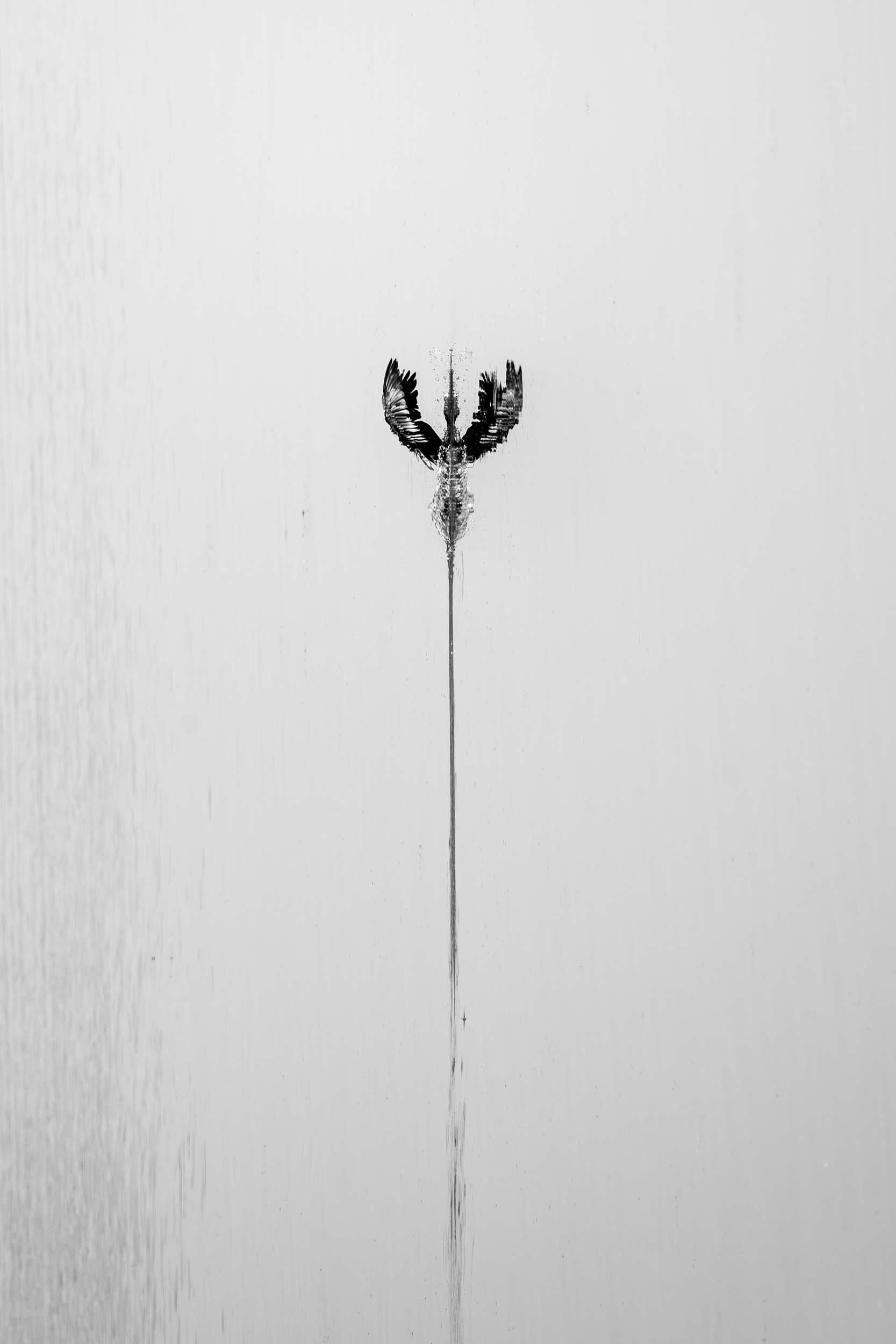 © Kristi Odom