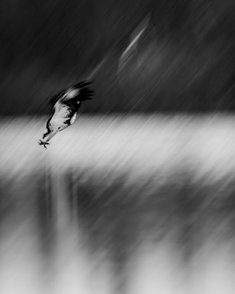 © Kristi Odom