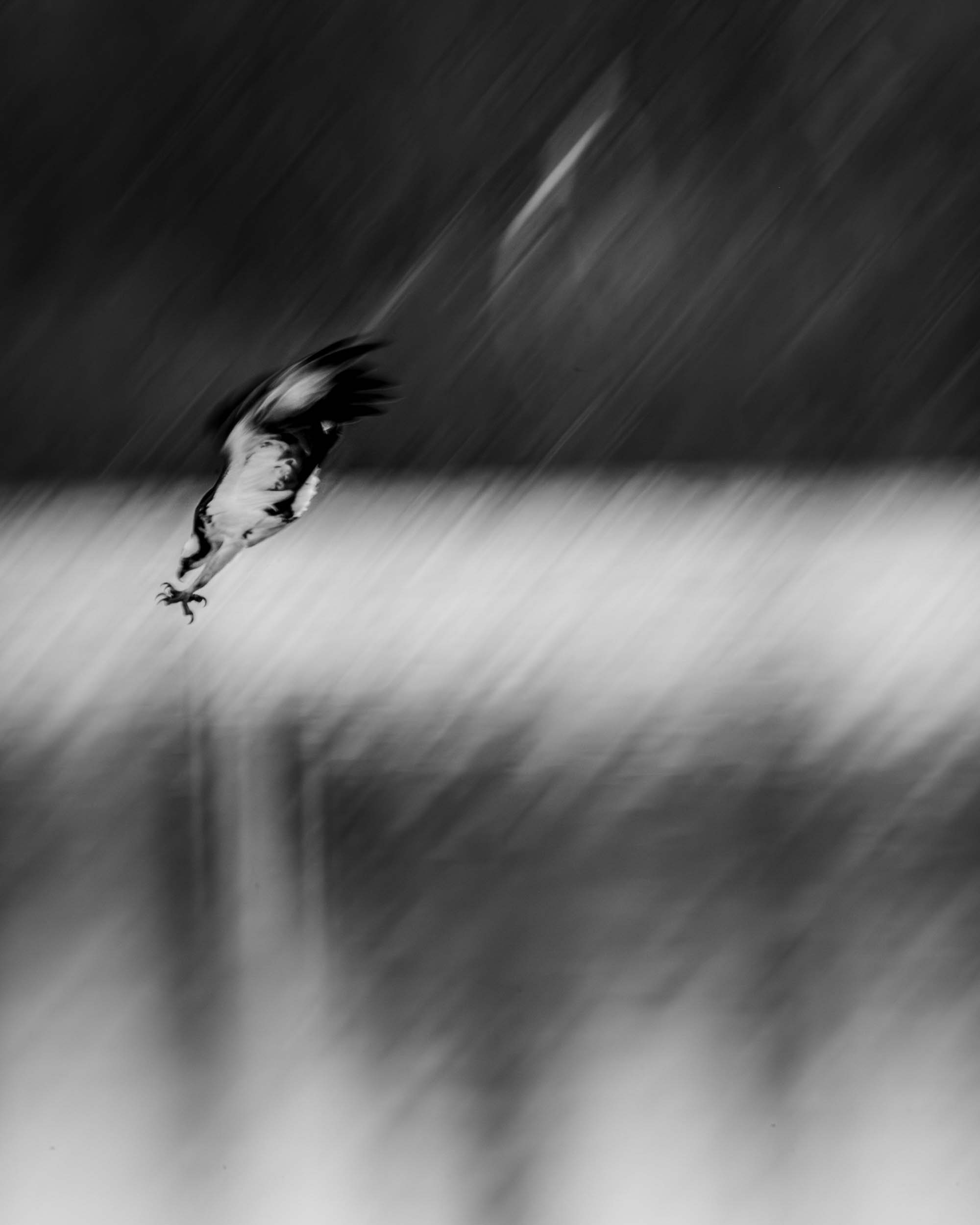 © Kristi Odom