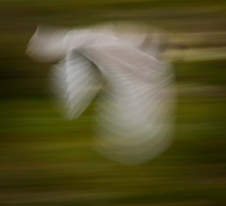 © Kristi Odom