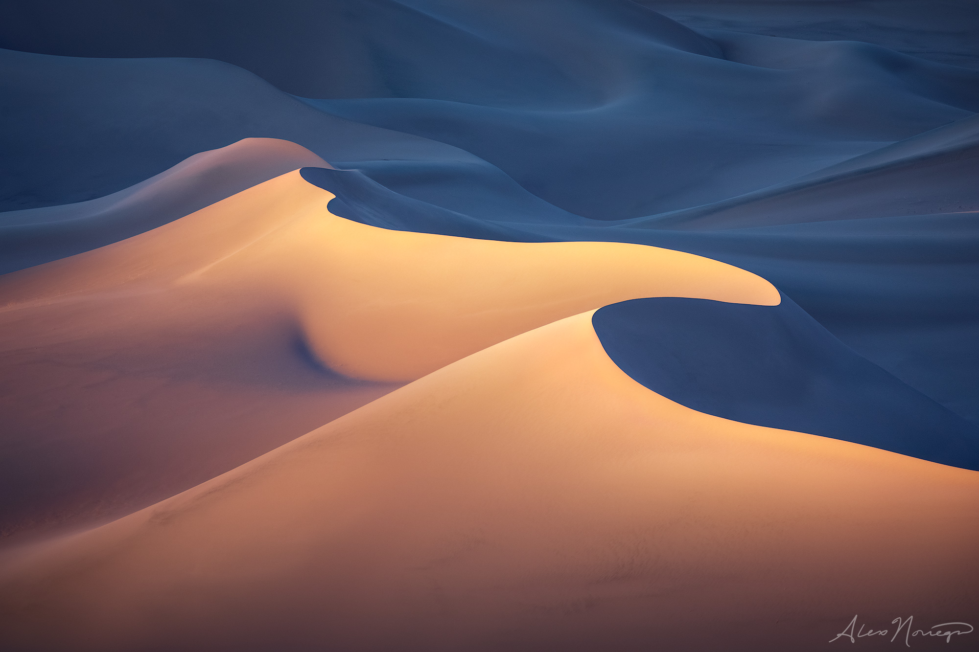 © Alex Noriega
