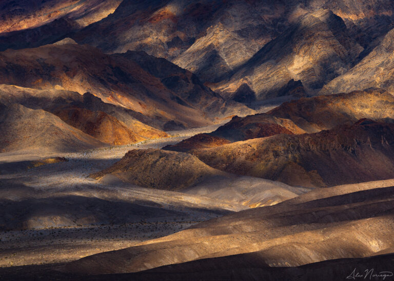© Alex Noriega