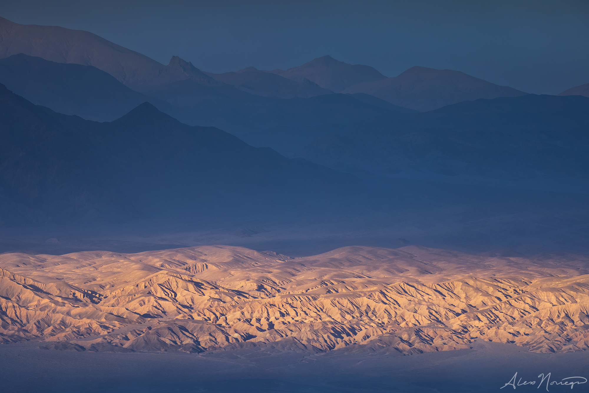 © Alex Noriega