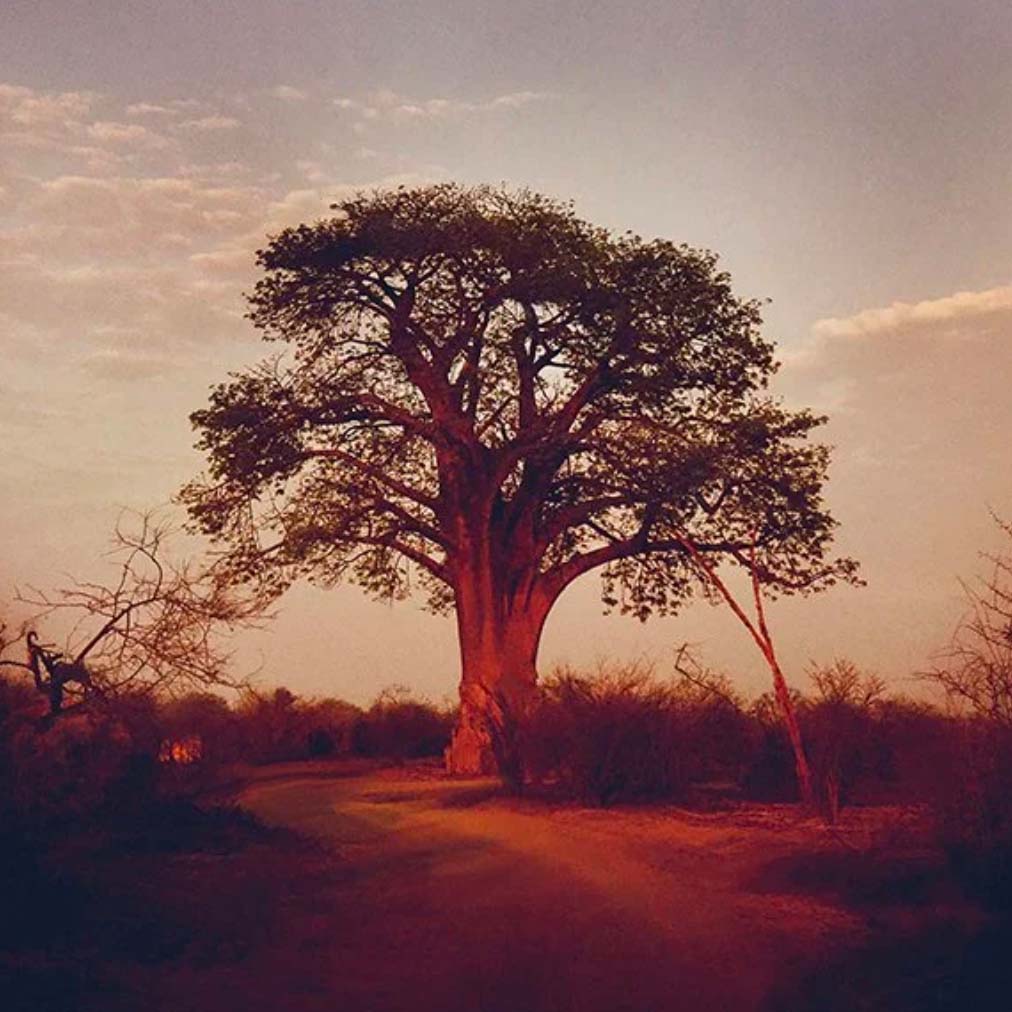 © Deborah Samuel