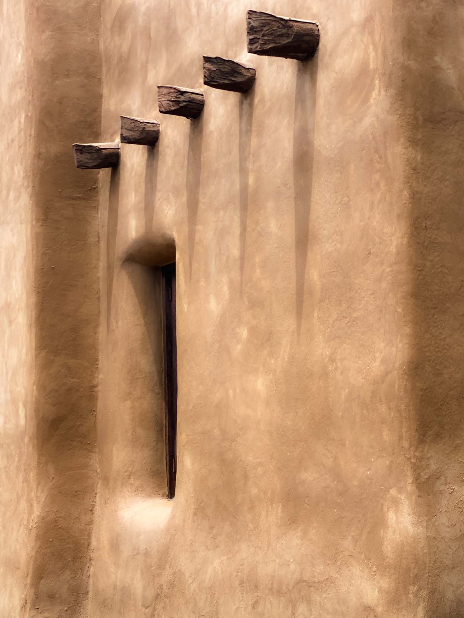 © Renee Lynn