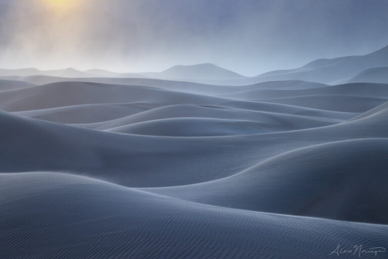 © Alex Noriega