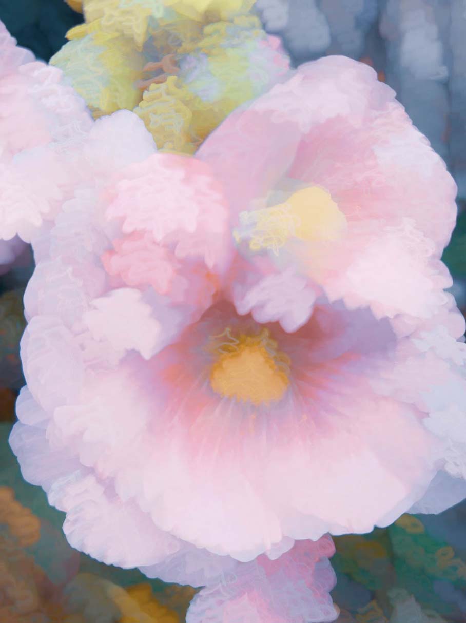 © Renee Lynn