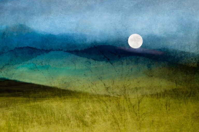 © Renee Lynn