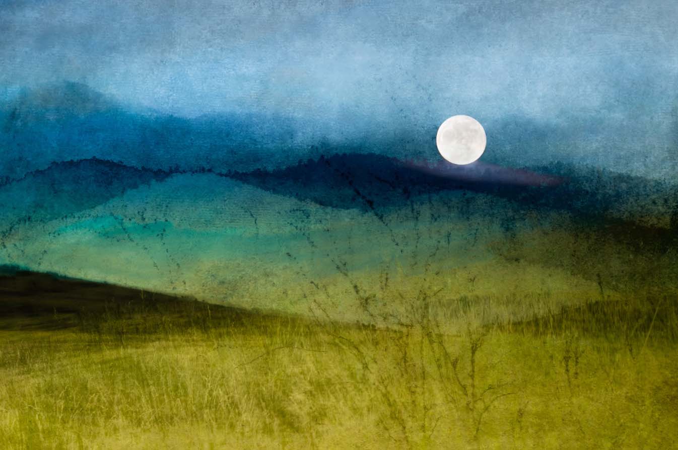 © Renee Lynn