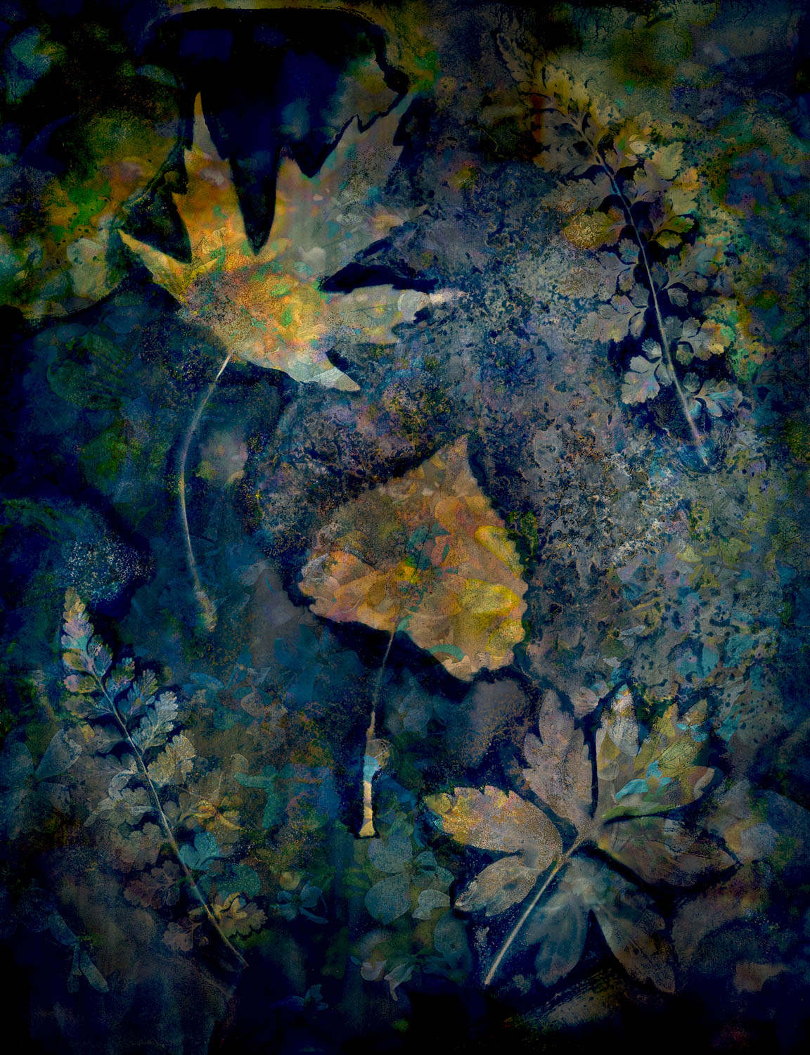 © Stephanie Johnson