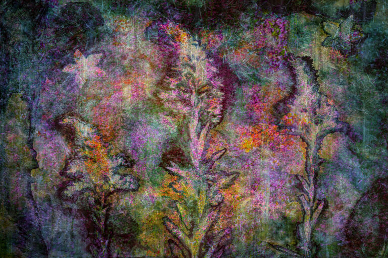 © Stephanie Johnson