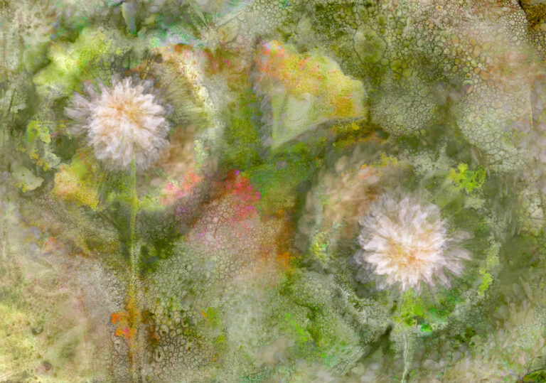 © Stephanie Johnson