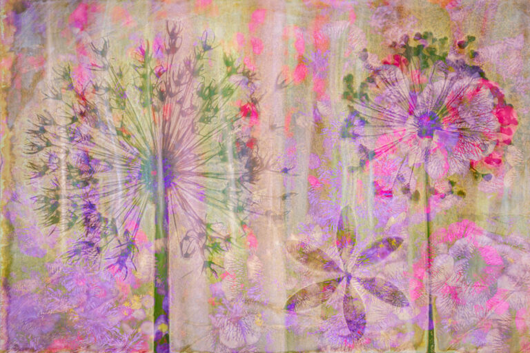 © Stephanie Johnson