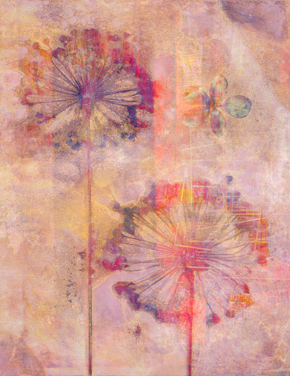 © Stephanie Johnson