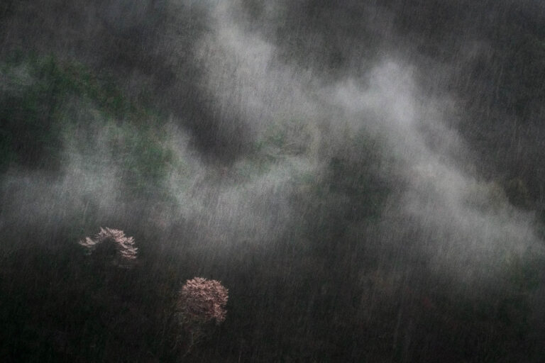 © Xuan-Hui Ng