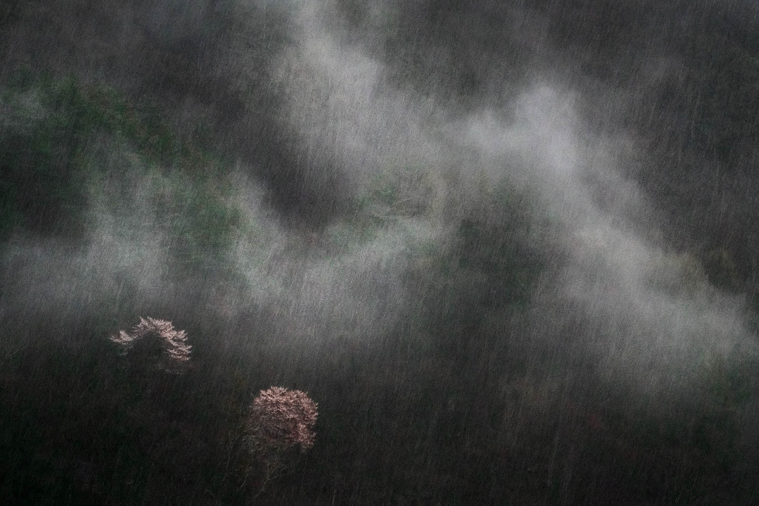 © Xuan-Hui Ng