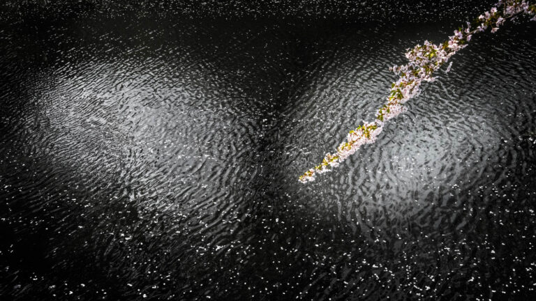 © Xuan-Hui Ng