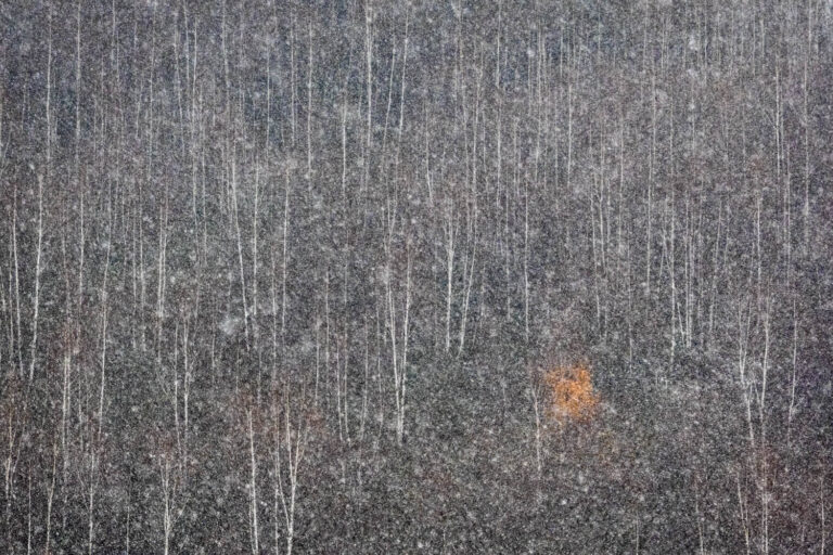 © Xuan-Hui Ng