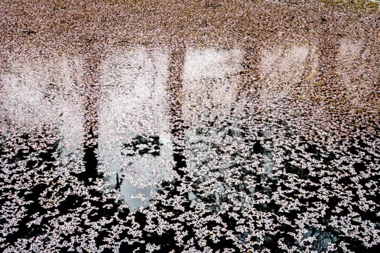 © Xuan-Hui Ng