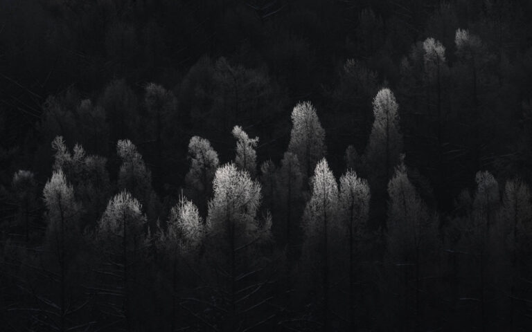 © Xuan-Hui Ng