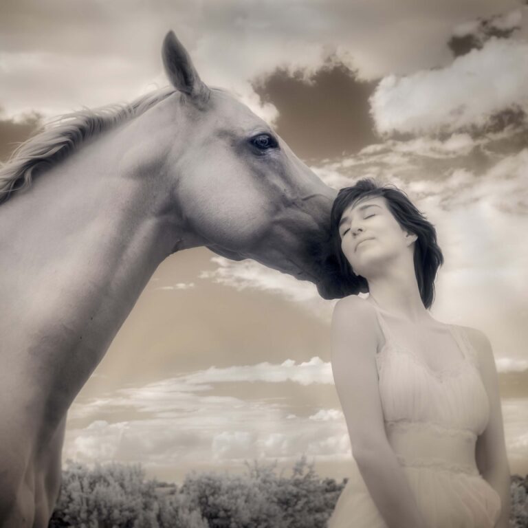© Shelley Vandegrift
